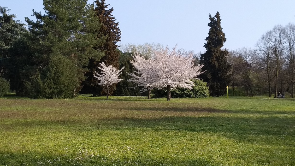 parco dei cedri
